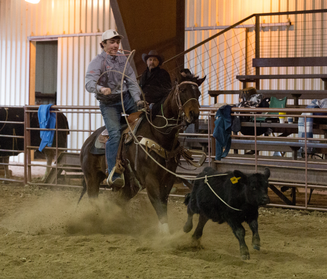 breakaway roping clinics 2019